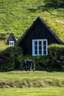 Traditional house