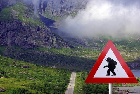 AChtung Trolls