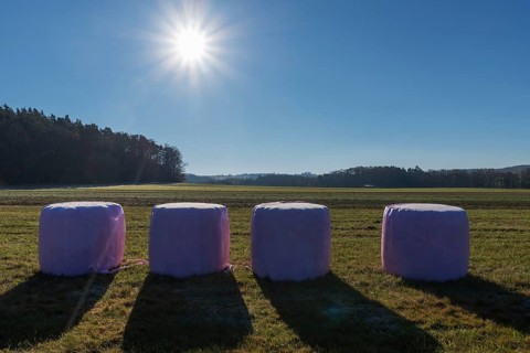 Hay bale in pink wrapped foil on the meadow