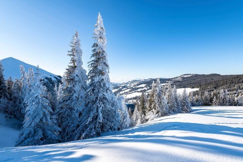Snowy winter landscape on the Gurnigel Pass