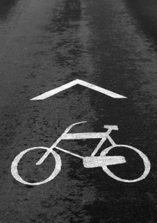 White cycle path marking on asphalt road