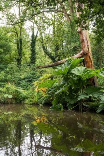 Floodplain landscape of the Erft
