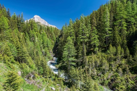 Riedingbach