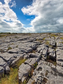 Bizarrely shaped limestone slabs on the hillside