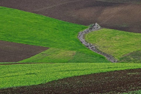 Asymmetrical landscape pattern