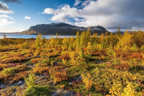 Autumn fell landscape