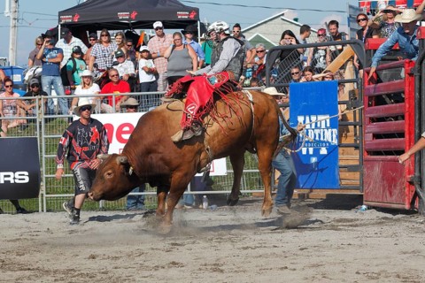 Rodeo competition