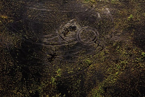 Drone image
