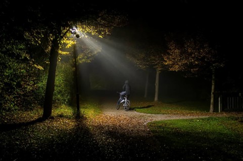 A person rides a bicycle through a lonely park in Markt Swabia