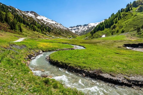 Hinterer Riedingbach flows through Alm in the Riedingtal nature Park