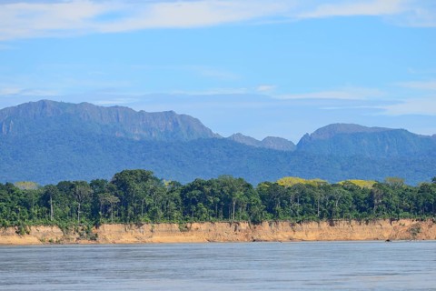 Fractured clay bank of the Rio Alto Beni