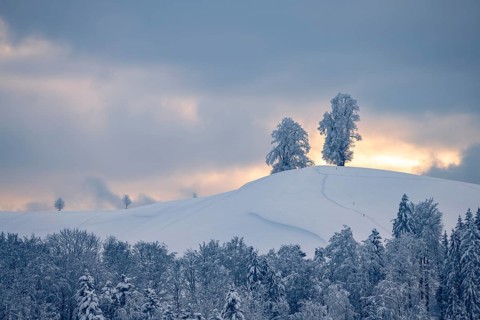 Winter landscape at Hirzel