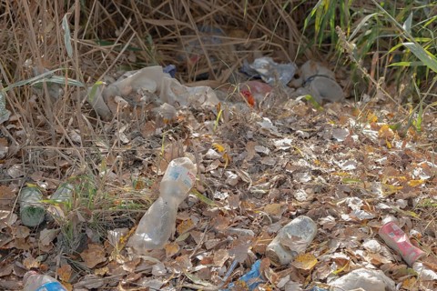 Discarded plastic bottles and other garbage in a meadow in the shore zone. Ermakov island