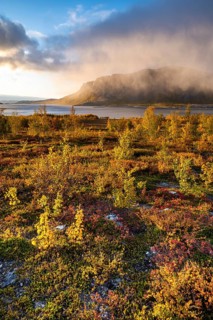 Autumn fell landscape