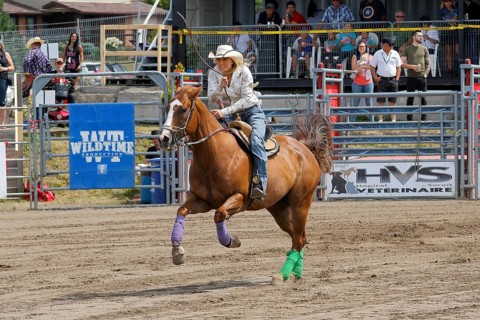 Rodeo competition