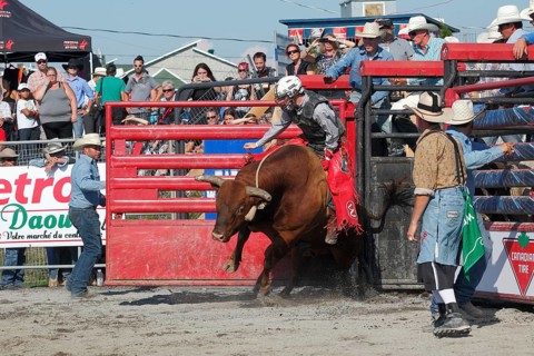 Rodeo competition