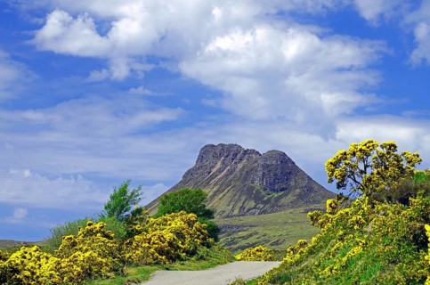Narrow road is framed by gorse plants in intense colours