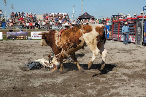 Rodeo competition