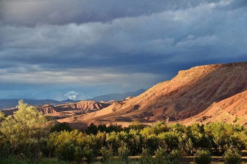 Draa valley with trees and flat mountains in the evening sun