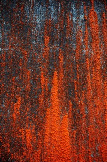 House facade with red algae growth