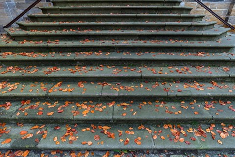 Autumn leaves on the historic staircase to the Diocesan Museum