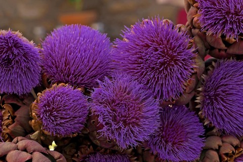 Artichoke