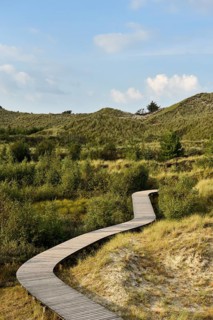 Boardwalk in the dunes near Wittduen
