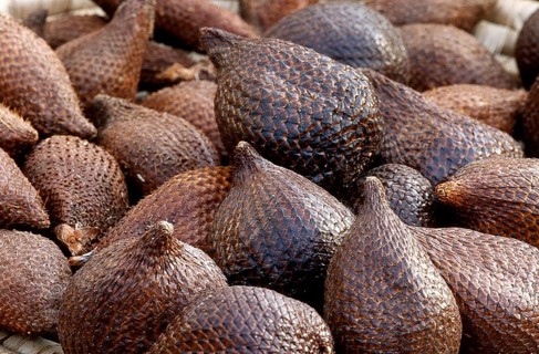 Salak