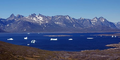 Icebergs in the fjord