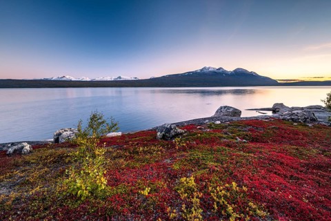 Autumnal fell landscape with lake Akkajaure and mountain range Akka