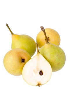 Pear variety Sugar pear