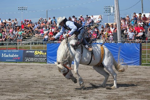 Rodeo competition