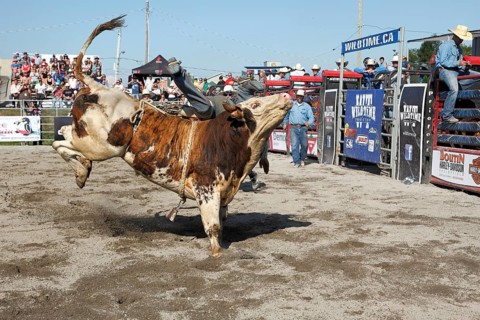 Rodeo competition