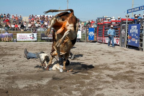 Rodeo competition