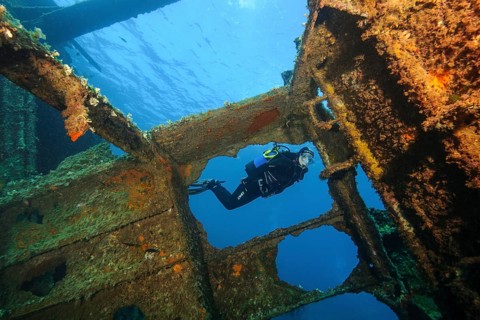 Diver looking into interior of sunken ship decaying rusting shipwreck Elviscot
