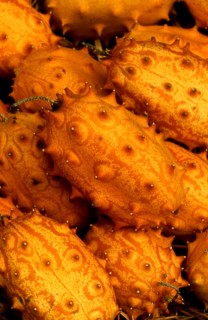 Horned Melon