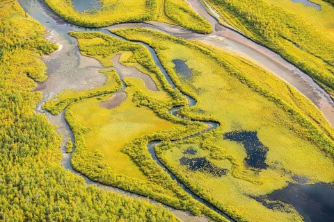 Close-up of the Rapadalen river delta