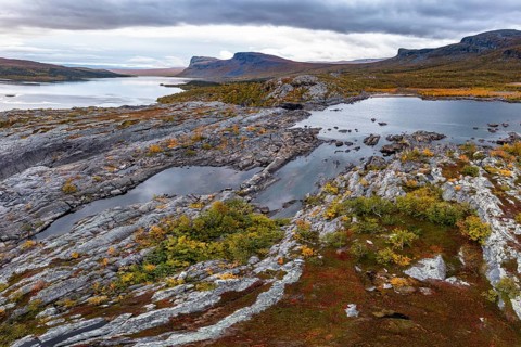 Autumn fell landscape