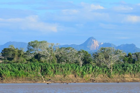Landscape on the Rio Alto Beni