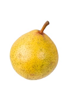 Pear variety Lemon pear