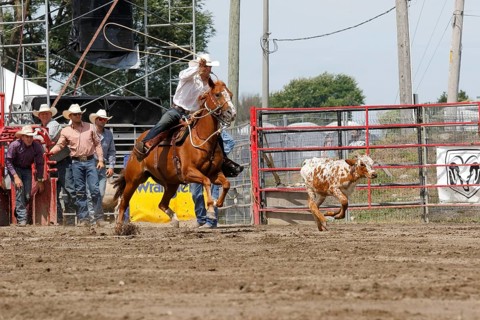 Rodeo competition