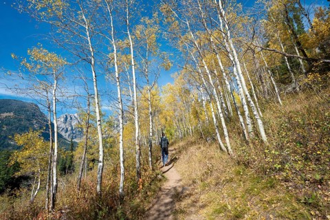 Young man on the hiking trail to Taggart Lake