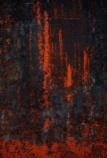 House facade with red algae growth