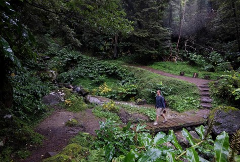 Hiking trail through jungle-like forest to the Salto do Prego waterfall