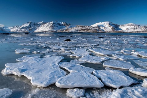 Winter Scandinavian landscape
