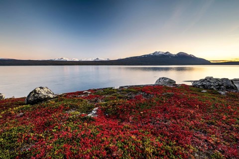 Autumnal fell landscape with lake Akkajaure and mountain range Akka