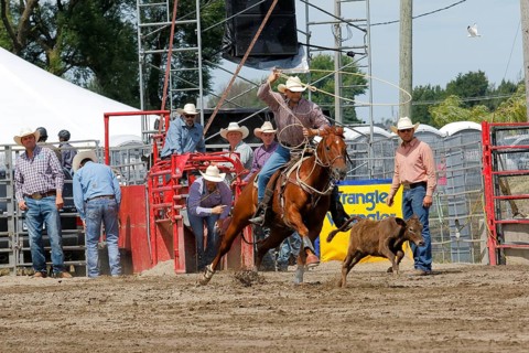Rodeo competition