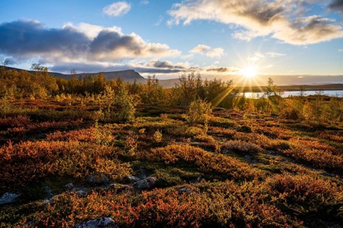Autumn fell landscape