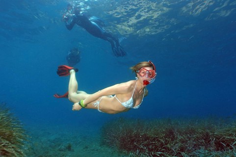 Snorkeler dives down swims over sea grass