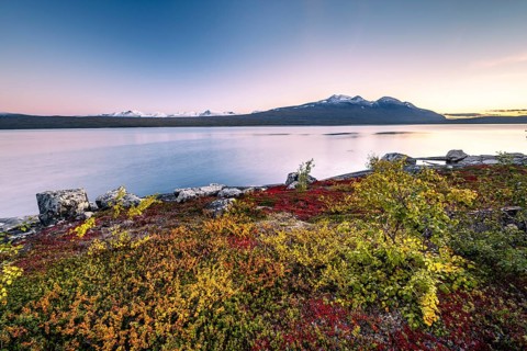 Autumnal fell landscape with lake Akkajaure and mountain range Akka